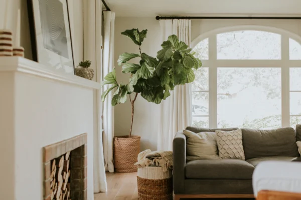 Boiler Services in Aurora, IL from Youngren's Heating & Cooling